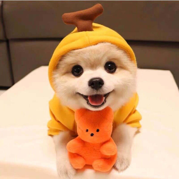 Cute Fruit Dog Clothes For Small Dogs Hoodies Winter Warm Fleece Pet Clothing Puppy Cat Costume Coat For French Chihuahua Outfit - Image 5